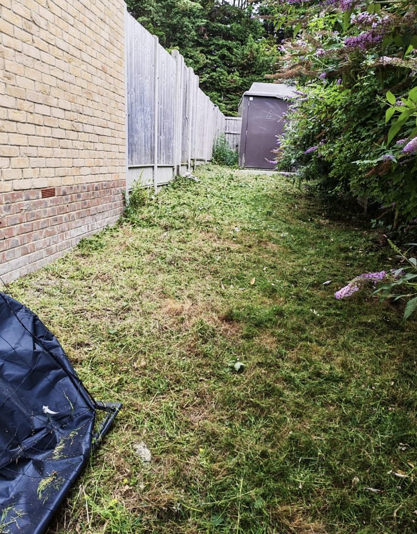 The same strip cut back down, clippings collected and the boundary edged