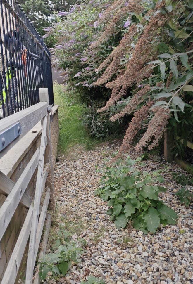 A narrow access path closing over before clearance