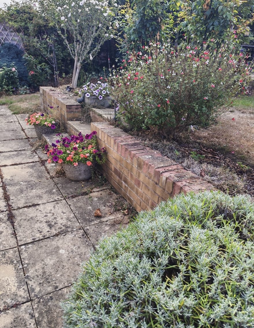A domestic border kept clean with pots and raised beds planted up