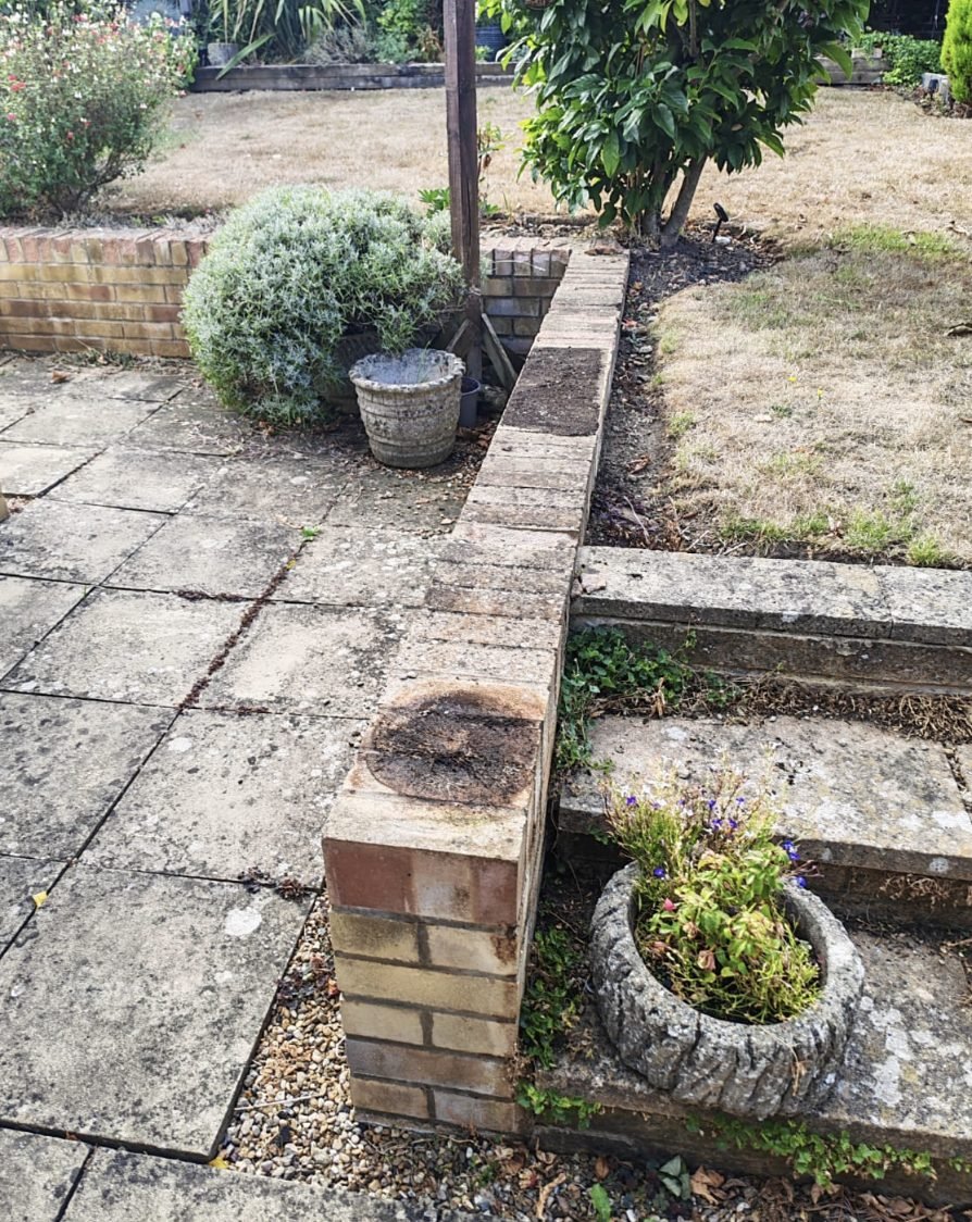 Weeds cleared from paving joints and the surrounding bed edges