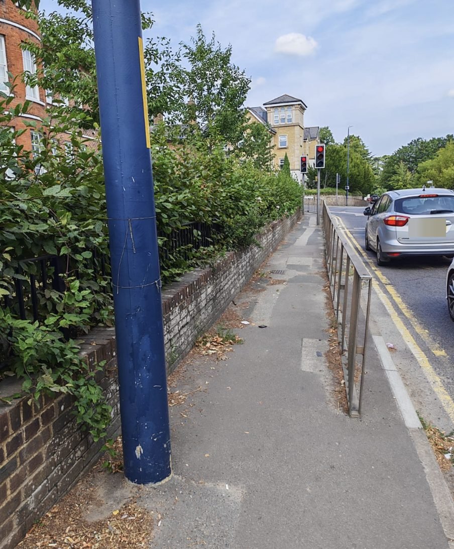 A boundary hedge held back off a public footpath